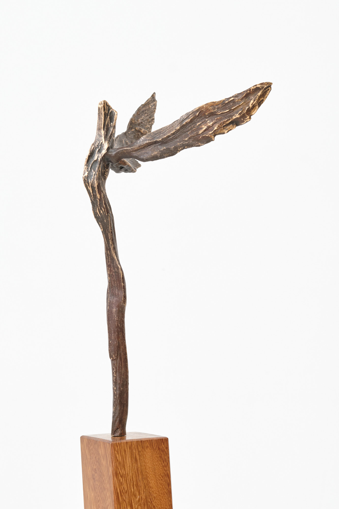 Michael Roderick Wedderburn Sculpture
